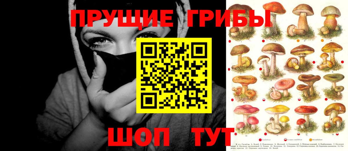 Псилоцибиновые грибы мицелий  Галлюциногенные грибы мицелий  Вход с VPN  Тара 