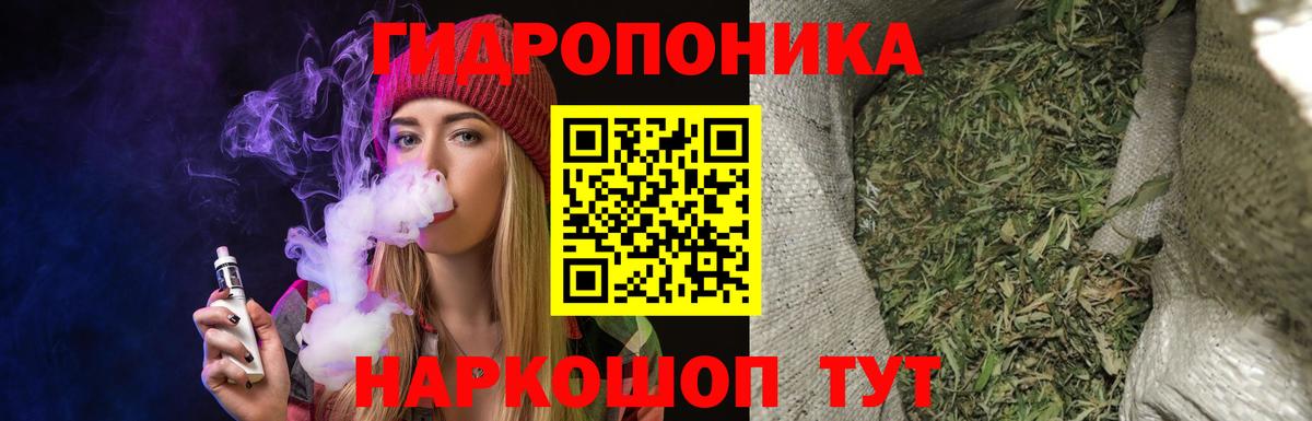 Канабис MAZAR  МАРИХУАНА LSD WEED  Тара  Каннабис гибрид  Вход с VPN 